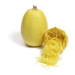 Courge spaghetti (pièce 1kg) 3€ Pont-l'Abbé