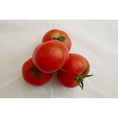 Tomate ronde (500g) 4,5 €/kg