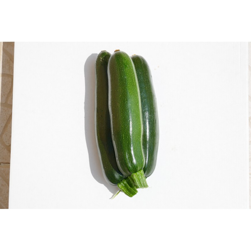 Courgette 3€/kg (500g)