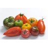 Tomate ancienne (500 g) 4.5€/kg